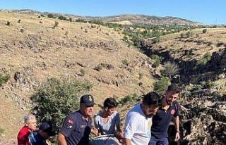 Kaçan keçiyi yakalamak isteyen kayalılardan yuvarlandı