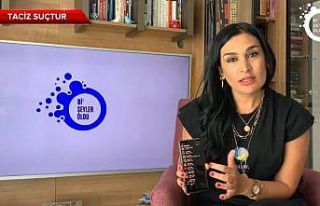 Kadın gazeteci kendisine gelen taciz mesajlarını...