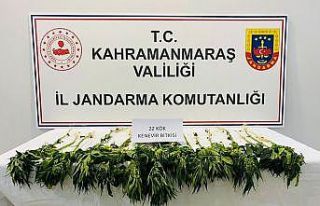 Kahramanmaraş’ta uyuşturucu operasyonu