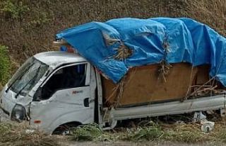 Kamyonet kanala uçtu: 1 yaralı