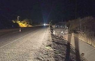 Kamyonet şarampole yuvarlandı: 1 yaralı