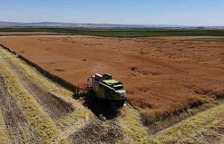 Kanolada ilk deneme yüz güldürdü