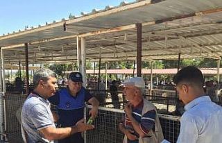 Karacasu’da hayvan pazarı denetlendi