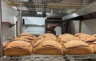 Karakılçık hem üreticinin hem tüketicinin yüzünü...