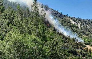 Karaman’da çıkan orman yangını kısa sürede...