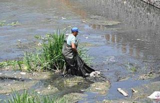Kars Çayı temizleniyor