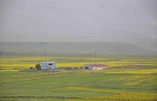 Kars gökkuşağı gibi