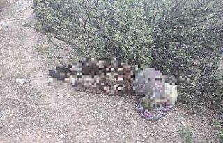 Kayıp olarak aranıyordu acı haber geldi