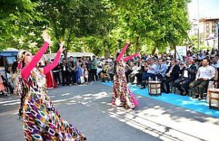 Kayısı Festivali etkinlikleri coşkuyla devam ediyor