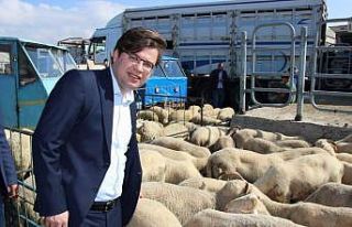 Kaymakam Düzgün kurban pazarına ziyaret etti