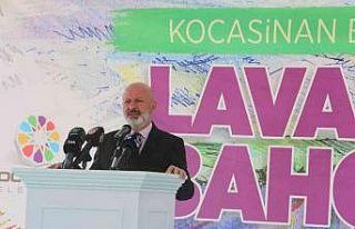 Kayseri, lavanta bahçesine dönüşüyor