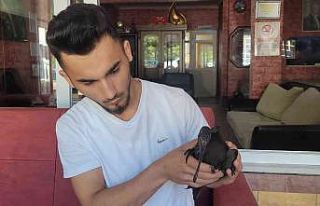 Kedilerin yaraladığı nesli tükenmekte olan ’kelaynak’...