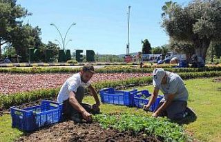 Kemer peyzaj çalışmalarıyla renklenecek
