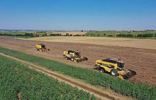 Kendi tarlasından vatandaşın sofrasına