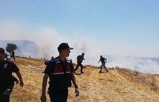 Kepsut’taki tarla yangını korkuttu