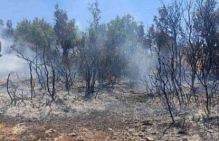 Kilis’te çıkan orman yangını kısa sürede söndürüldü