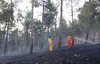 Kırıkhan’da örtü yangını