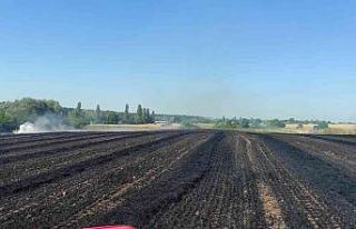 Kırklareli’de 55 dekar buğday tarlası küle döndü