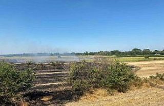 Kırklareli’nde anızlık alanda çıkan yangında...