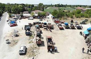 Kırklareli’nde kurbanlıklar alıcısını bekliyor