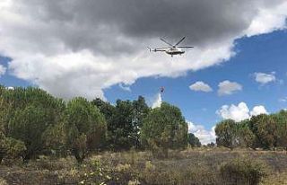 Kırklareli’nde ormanlık alanda çıkan yangında...
