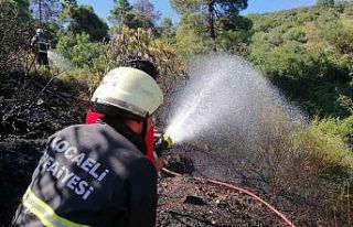 Kocaeli’de ormanlık alanda yangın çıktı
