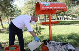 Kocasinan’da küçük dostlar için büyük hassasiyet