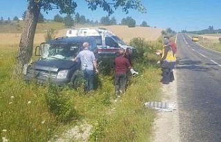 Kontrolden çıkan hafif ticari araç ağaca çarptı:...