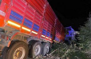 Kontrolden çıkan tır şarampole düştü: 1 yaralı