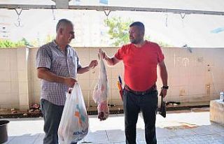 Konyaaltı’nda kurbanlar uzman kasaplara emanet