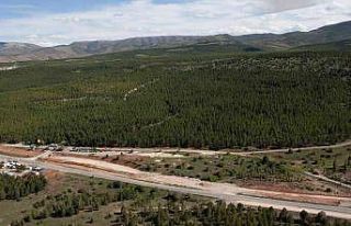 Konya’da Kent Ormanı 8 Ağustos’a kadar ziyarete...