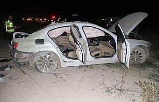 Köpeğe çarpmamak için manevra yapınca elektrik...