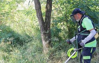 Körfez’de yabani ot biçme çalışmaları sürüyor