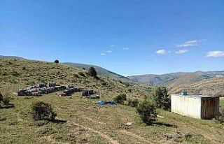 Kovan hırsızları kıskıvrak yakalandı