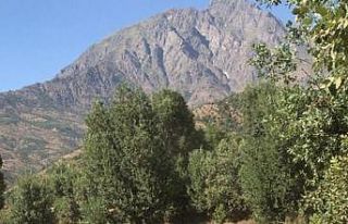 Köy yollarında hummalı çalışma