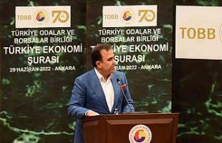 Kozan kalkınmada öncelikli bölge olmak istiyor