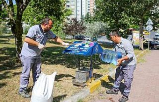 Küçükçekmece’de hayvan dostu belediyecilik