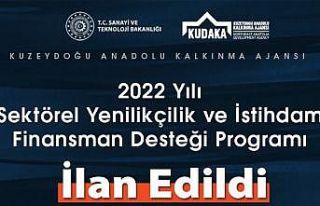 KUDAKA 2022 yılı sektörel yenilikçilik ve istihdam...