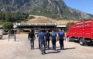 Kurban Bayramı için hazırlıklar devam ediyor