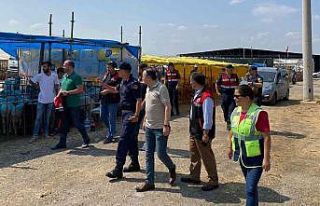 Kurban Bayramı öncesi hayvan pazarı denetimi