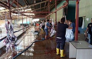 Kurban kesim yerlerine sıkı denetim