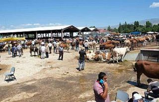 Kurban pazarında arefe yoğunluğu