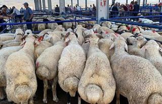 Kurban pazarında arife yoğunluğu