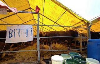 Kurban pazarında ’bitti’ yazıları asıldı