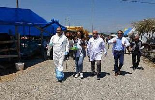 Kurban pazarında ‘ultrason’ ekibi görev başında