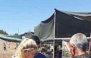 Kurban pazarlarında vatandaşlar dolandırıcılığa...