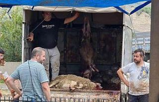 Kurbanını kimi kamyon kasasında, kimi ağaçlık...