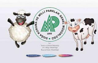 Kurbanlık hayvana eziyete ceza