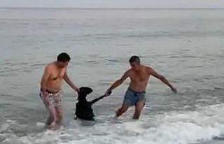 Kurbanlık keçi denize atladı, yüzerek kaçmaya...