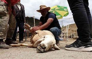 Kurbanlık satışları son güne kadar devam etti